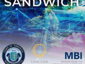 Sandwich Digital Equity Plan