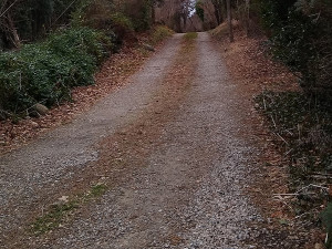 Unpaved Roadway Inventory