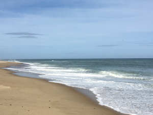 Cape Cod Ocean Management Plan