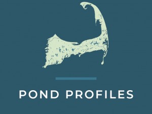 Cape Cod Ponds Profiles
