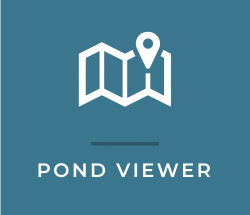 Cape Cod Pond Viewer graphic