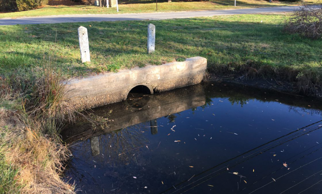 pond village