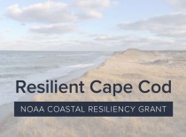 Resilient Cape Cod