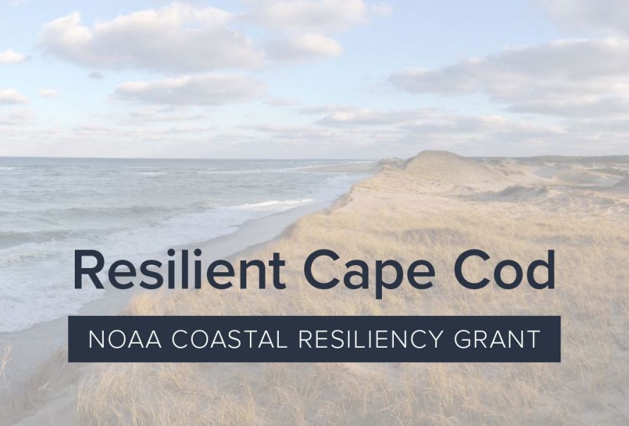Resilient Cape Cod