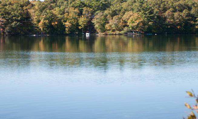 Freshwater Initiative