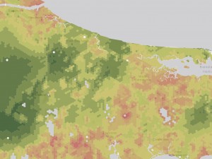 Cape Cod Community Characteristics