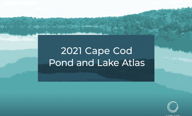 PondandLake