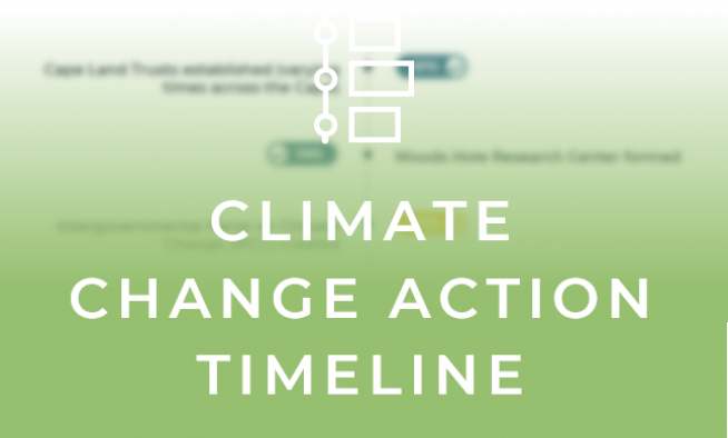 Climate Action Timeline