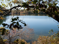 Ponds Lakes Alt