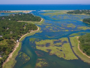 Estuaries