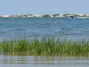 Cape Cod Water Protection Collaborative