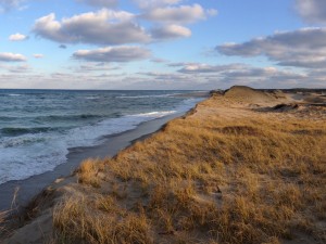 Resilient Cape Cod