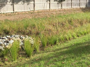 Stormwater