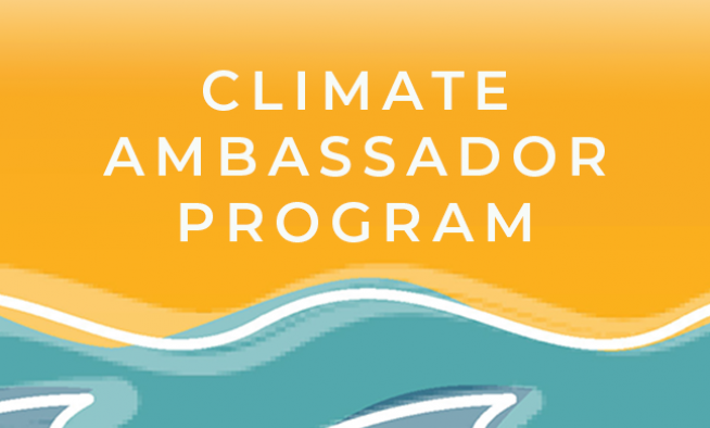 web tile ambassador