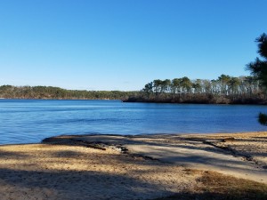 Cape Cod Ponds Network