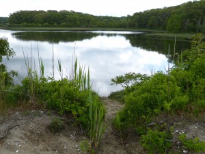 Cape Cod and Islands Water Protection Fund