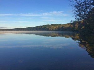 Freshwater Pond Restoration Projects